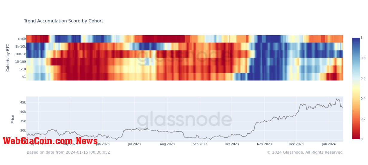 Accumulation Trend Score by cohort: (Source: Glassnode)