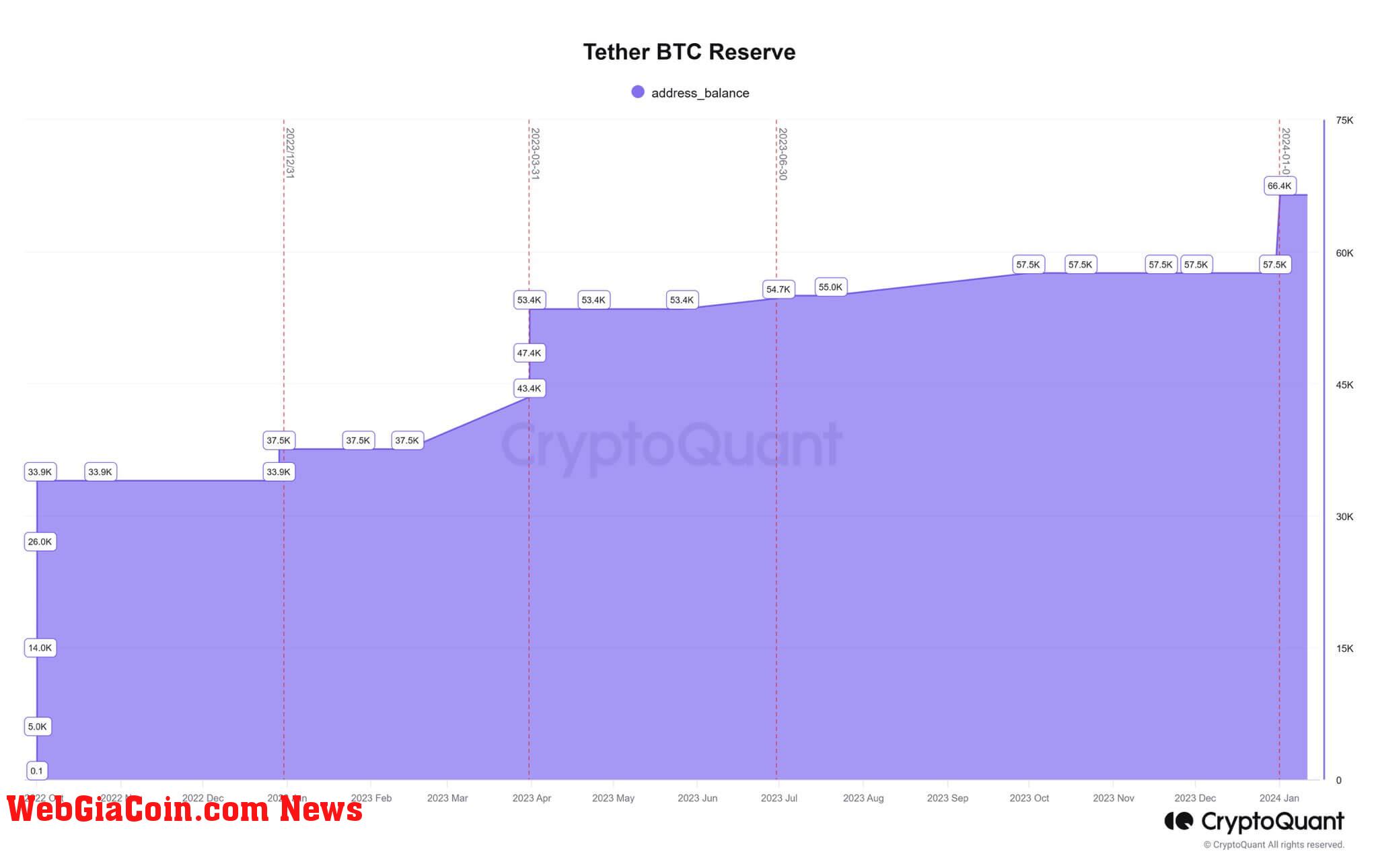 Tether Bitcoin Holding