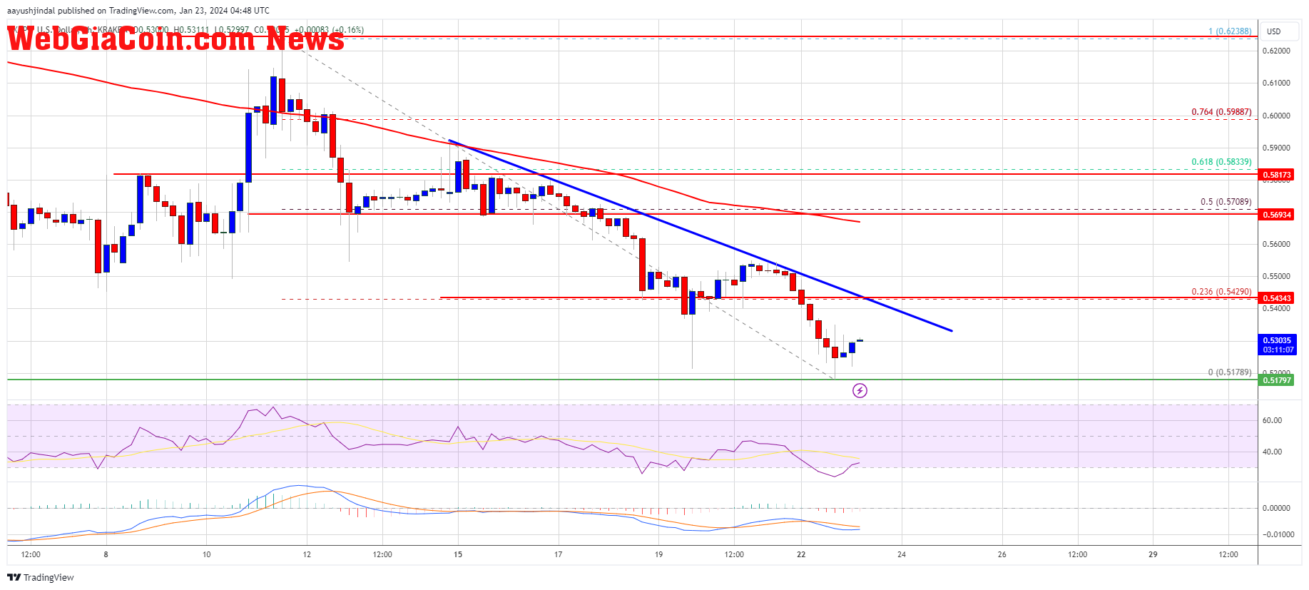 XRP Price 