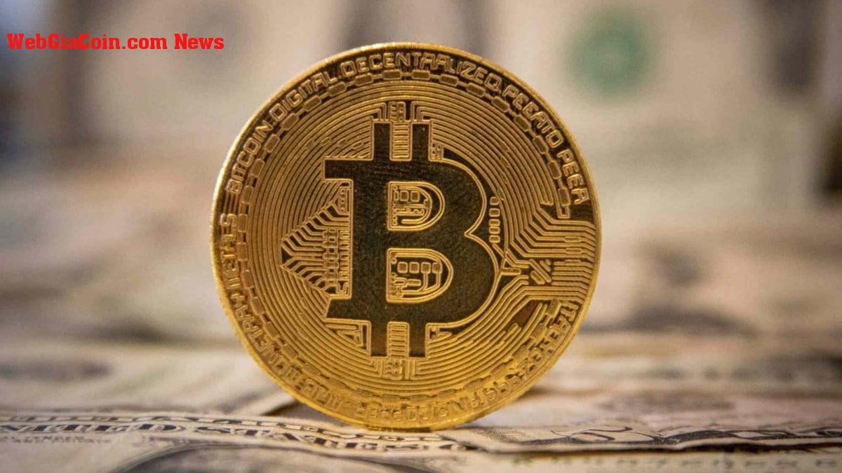 Nhà phân tích dự đoán giữ Bitcoin, hướng tới mục tiêu giá dài hạn là 500.000 USD