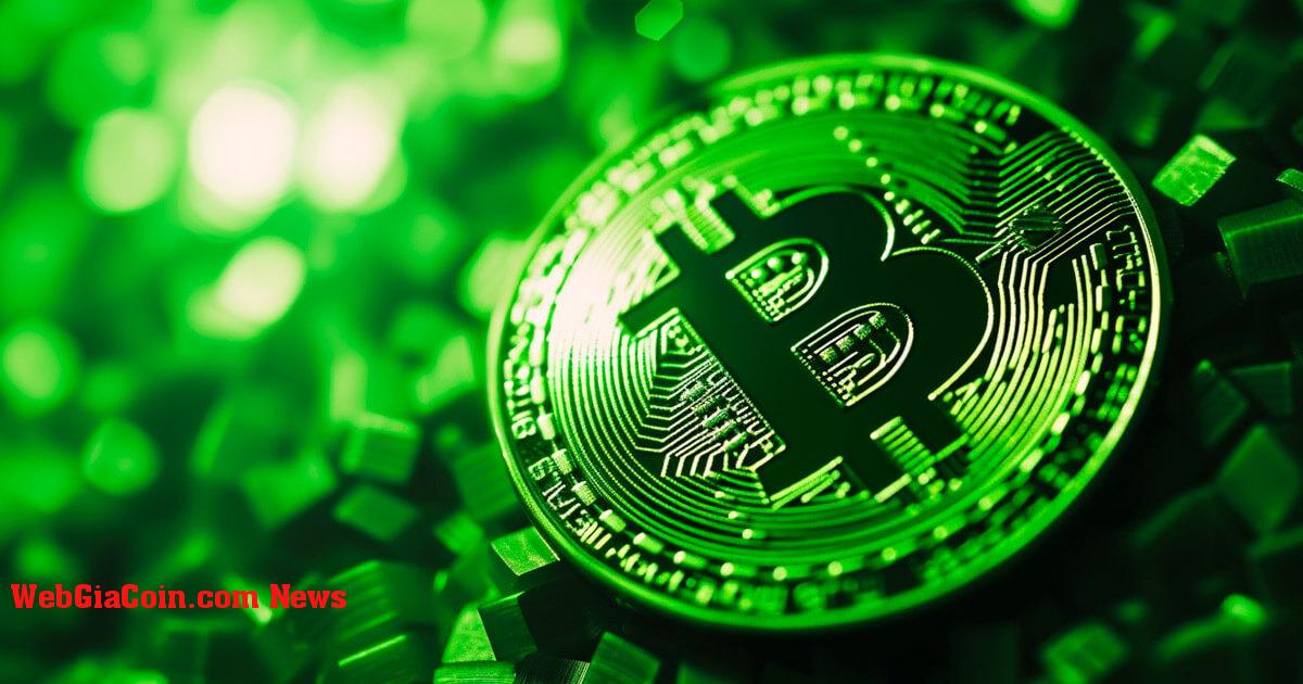 Bitcoin hướng tới cây nến xanh hàng tháng thứ năm liên tiếp trong điều kiện thị trường tàu lượn siêu tốc