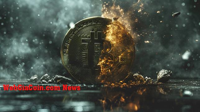 Nhiệm vụ trị giá 50 nghìn đô la: Tuyên bố trước Halving Bitcoin của Oracle khơi dậy sự phấn khích