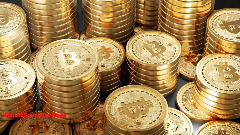 Cá voi Bitcoin (BTC) dự đoán Kelexo (KLXO) sẽ tăng vọt và ngăn cản đầu tư vào Cardano (ADA) vào tháng 2