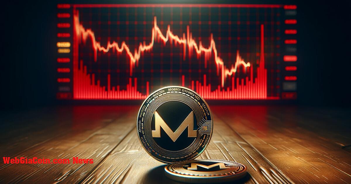 Động thái hủy niêm yết của Binance khiến giá trị Monero và Multichain giảm 20%