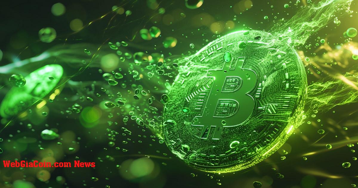 Bitcoin vượt qua 46.000 đô la gây ra khoản bán tháo 123 triệu đô la cho các nhà đầu tư tiền điện tử