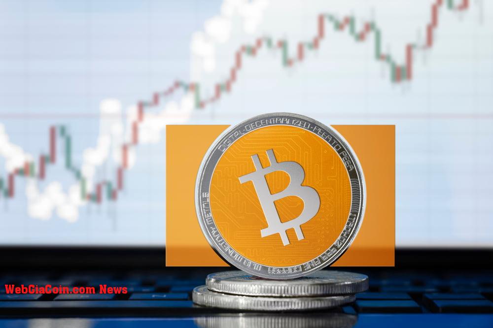 Giá Bitcoin Cash tăng vững chắc 15%: các dấu hiệu cho thấy giá BCH mới sắp tăng