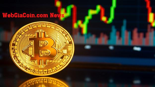 Nhà đầu tư hàng đầu khuyên nên nắm lấy Meme Coins, khi giá Bitcoin dự kiến sẽ không hoạt động vào tháng 2