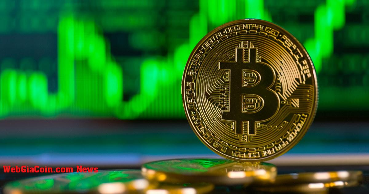 Bitcoin phục hồi lên 49,7 nghìn đô la sau khi không tìm được hỗ trợ trên 50 nghìn đô la