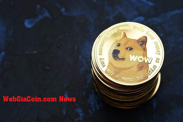 Meme Coin mới đạt 100 nghìn đô la trong vòng mở màn, được thiết lập thay thế Dogecoin (DOGE)