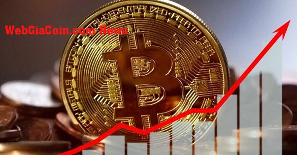 5 altcoin tốt nhất không nên bỏ lỡ trước Bitcoin Halving