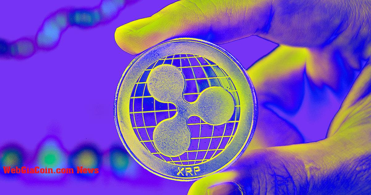 Ripple sẽ chào đón XRP ETF, CEO cho biết