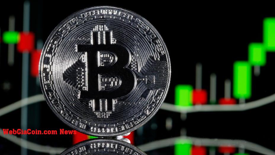 Bitcoin giảm là mua: BTC chứng kiến mức tích lũy phá kỷ lục