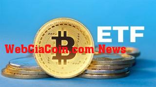 Dòng tiền ETF bitcoin giao ngay đạt kỷ lục mới khi giá BTC chạm 57.000 USD