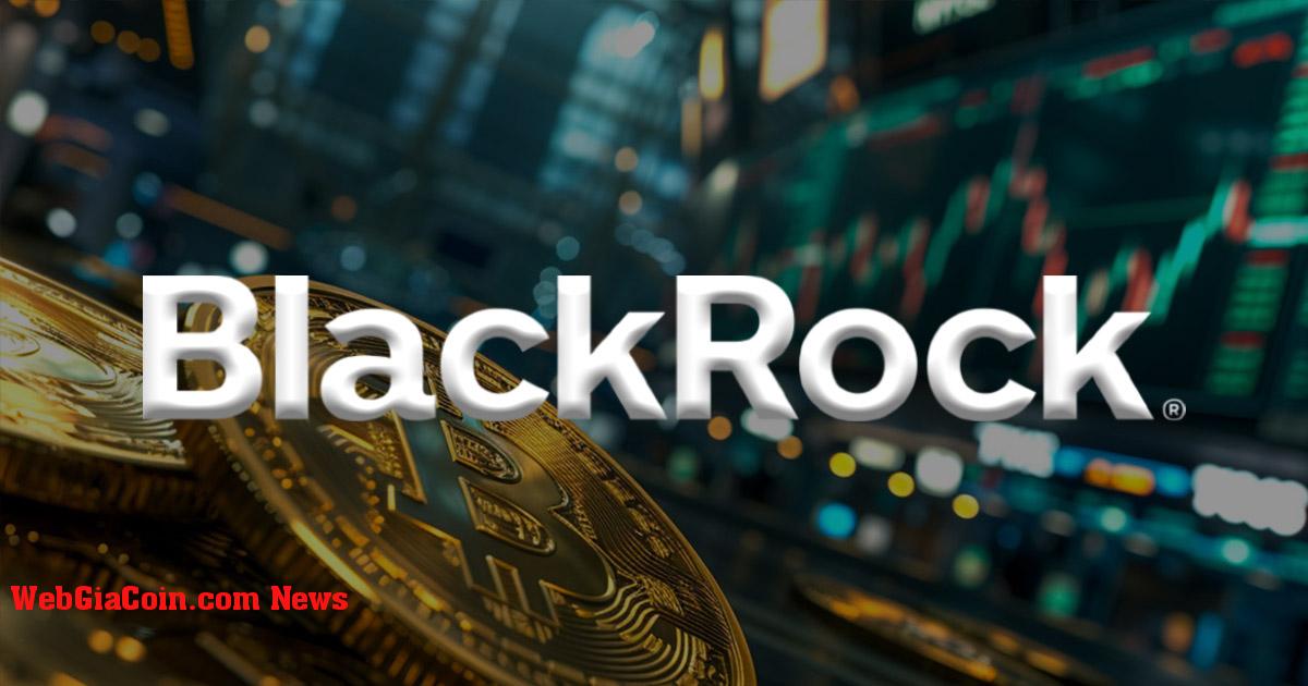 BlackRock IBIT dẫn đầu với dòng tiền kỷ lục 520 triệu USD, ngày tốt thứ 3 kể từ khi ra mắt