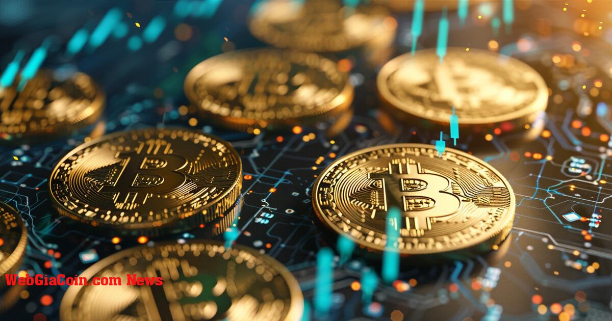 Giới hạn thực hiện cao kỷ lục cho thấy khoản đầu tư kinh tế chưa từng có vào Bitcoin