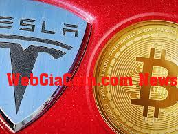 Tại đây Elon Musk Tesla và SpaceX đã kiếm được bao nhiêu từ việc giữ Bitcoin của họ