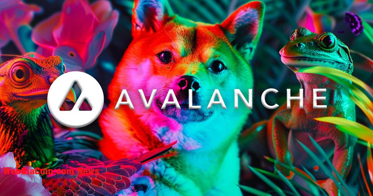 Avalanche Foundation mua memecoin 