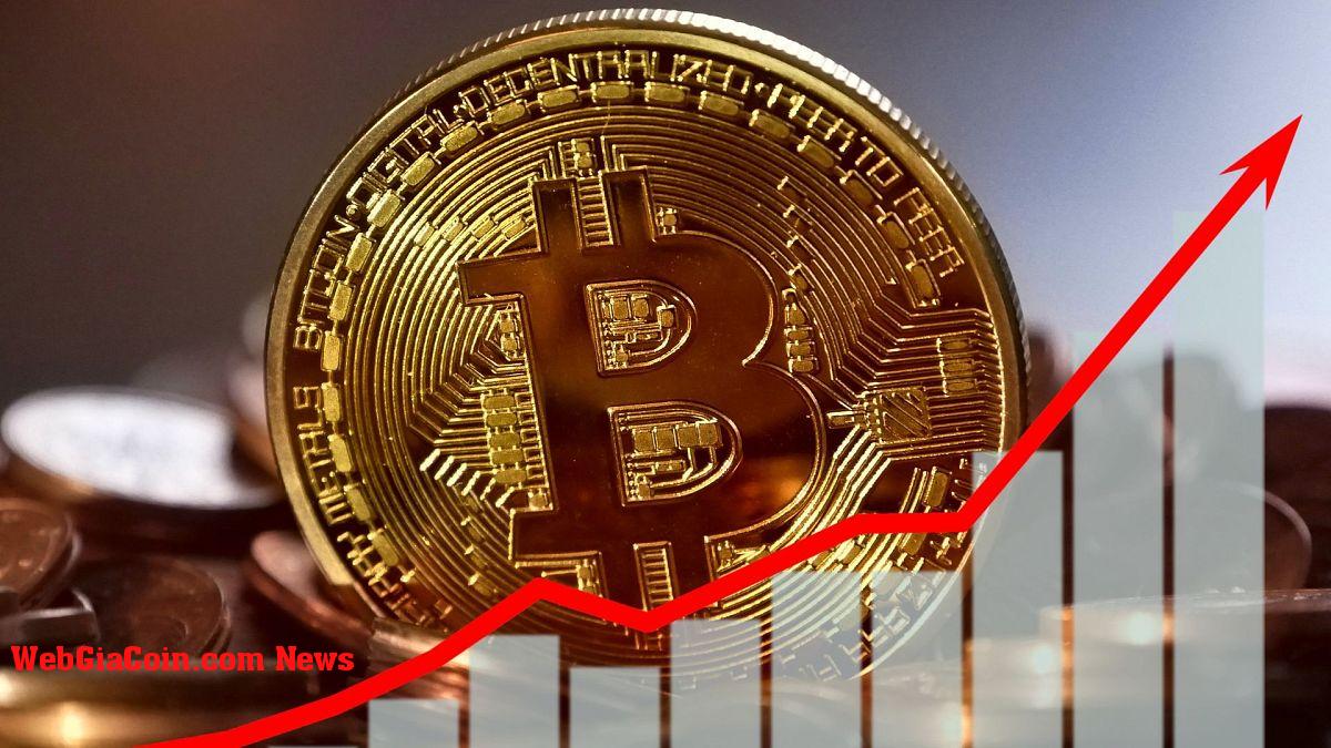 Nhà phân tích giải thích: Dòng tiền Bitcoin ETF có thể phục hồi nếu đạt được mức giá này
