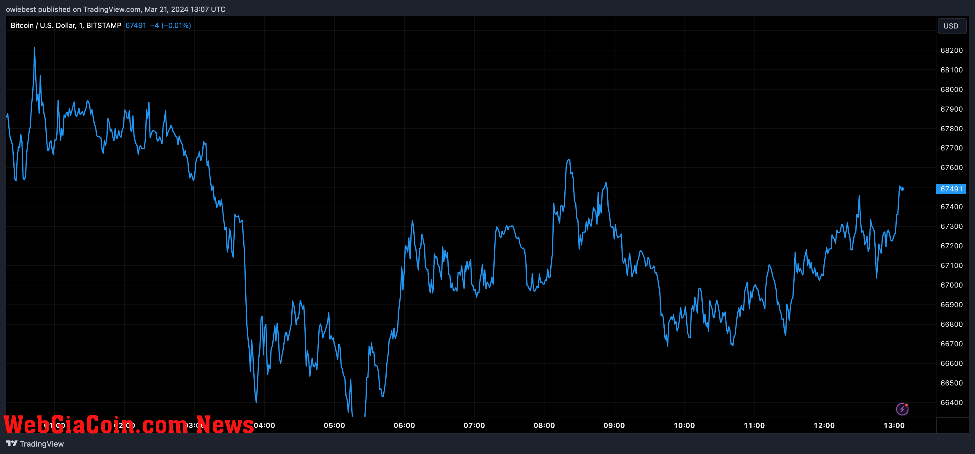 Bitcoin price chart from Tradingview.com