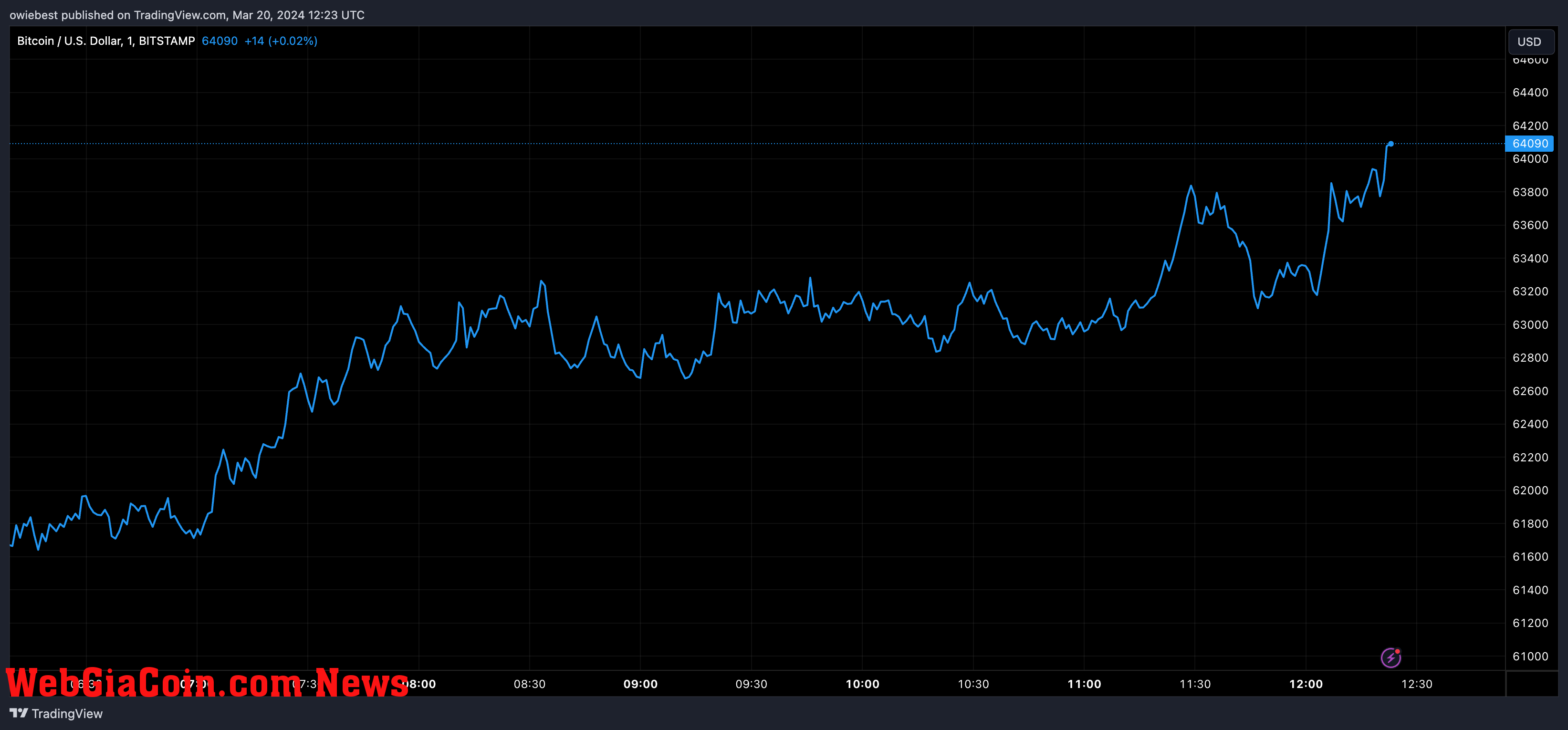 Bitcoin price chart from Tradingview.com