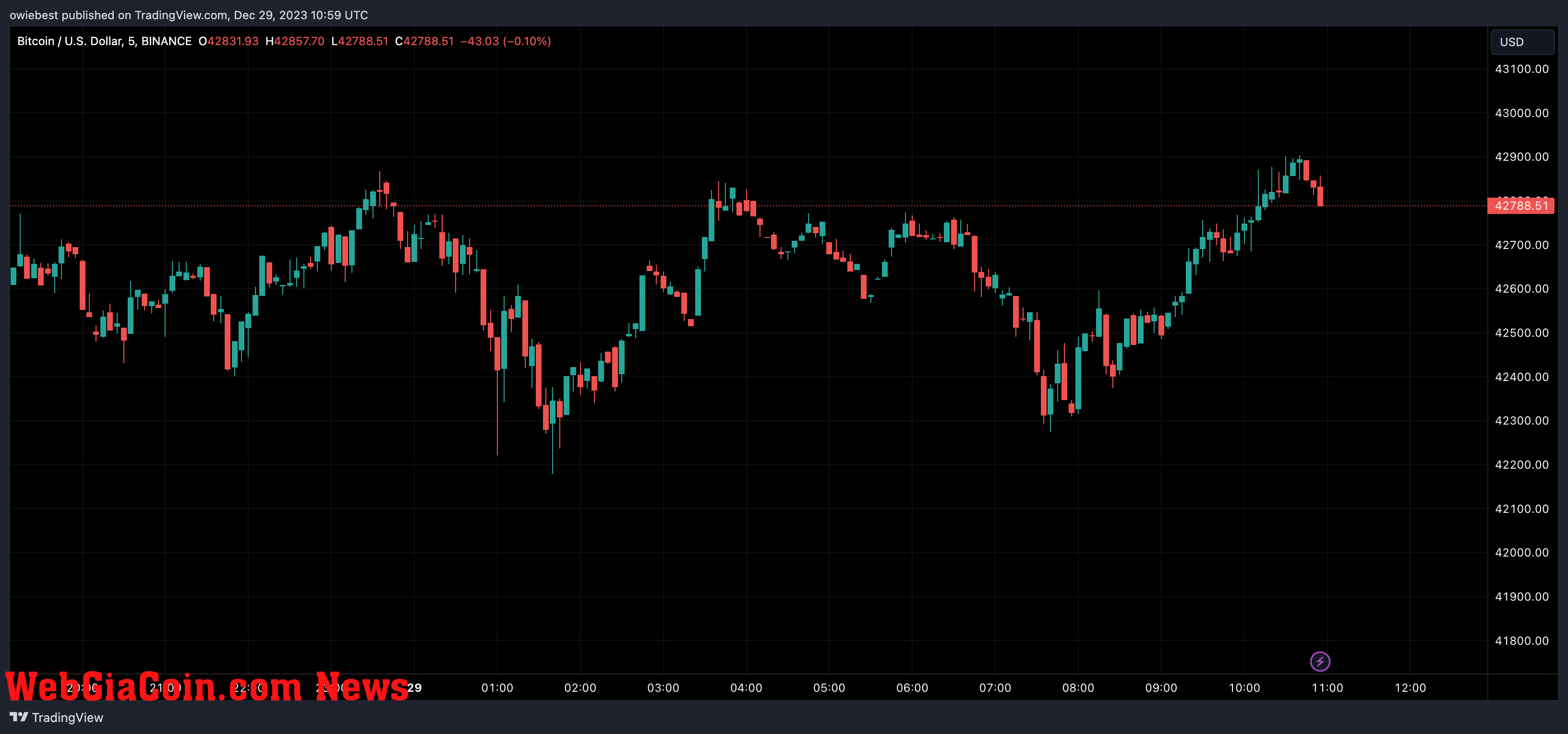 Bitcoin price chart from Tradingview.com (ARK Invest Spot Bitcoin ETF Cathie Wood)