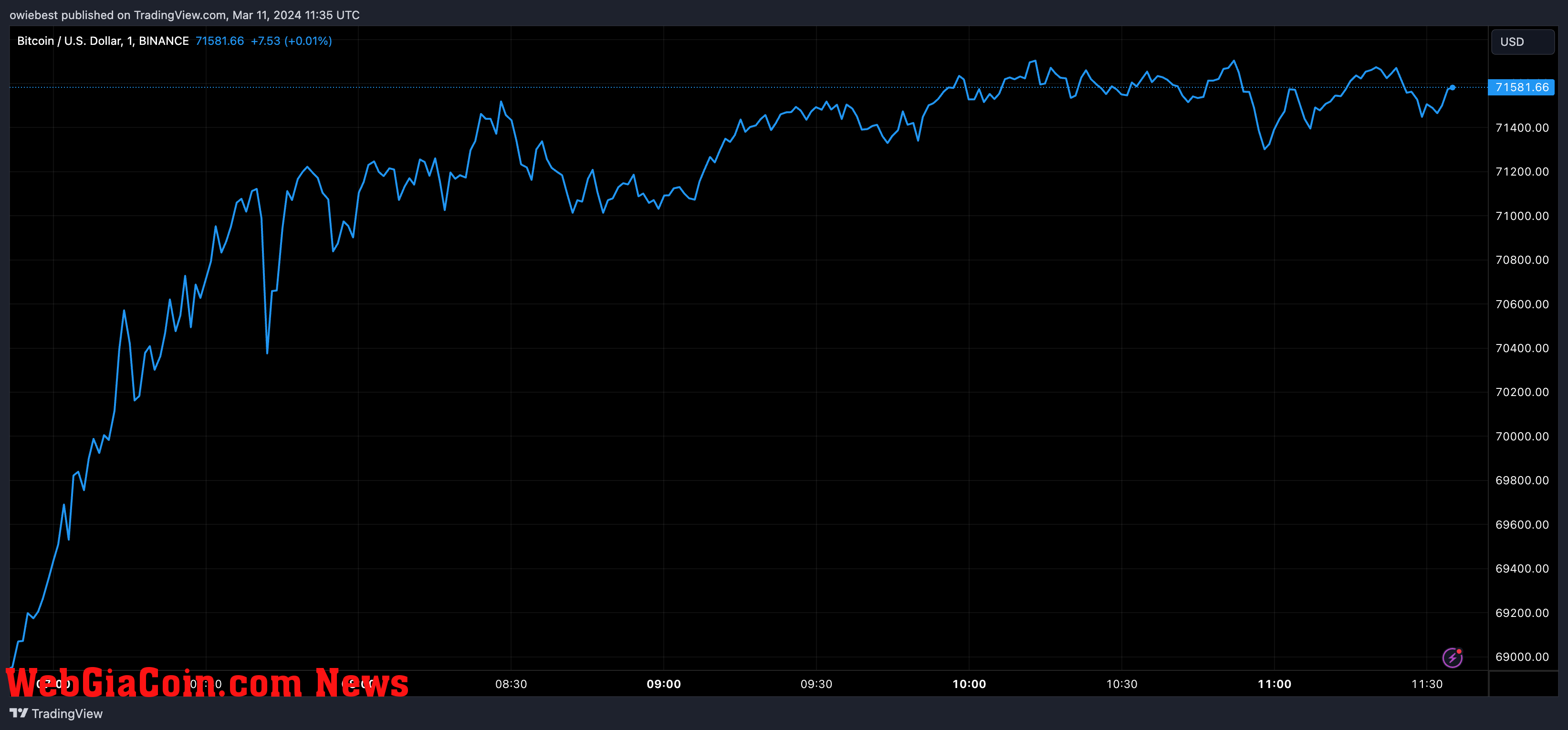 Bitcoin price chart from Tradingview.com