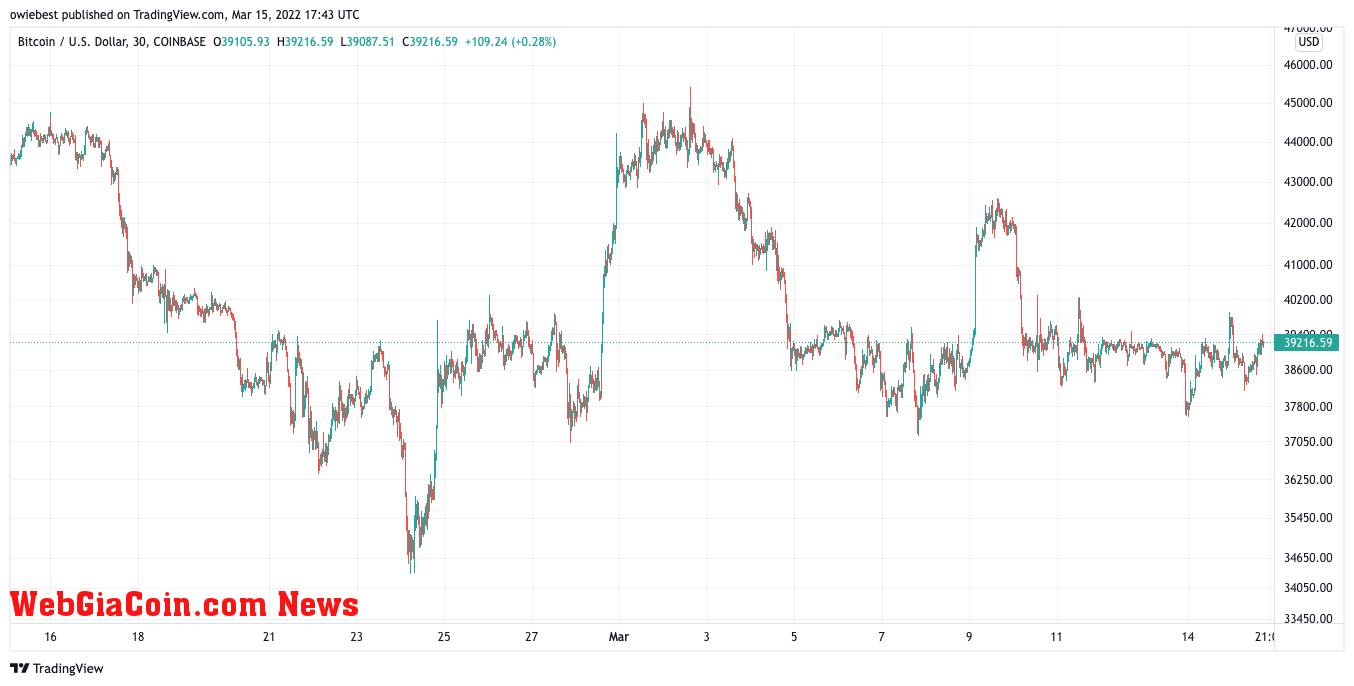 Bitcoin price chart from TradingView.com