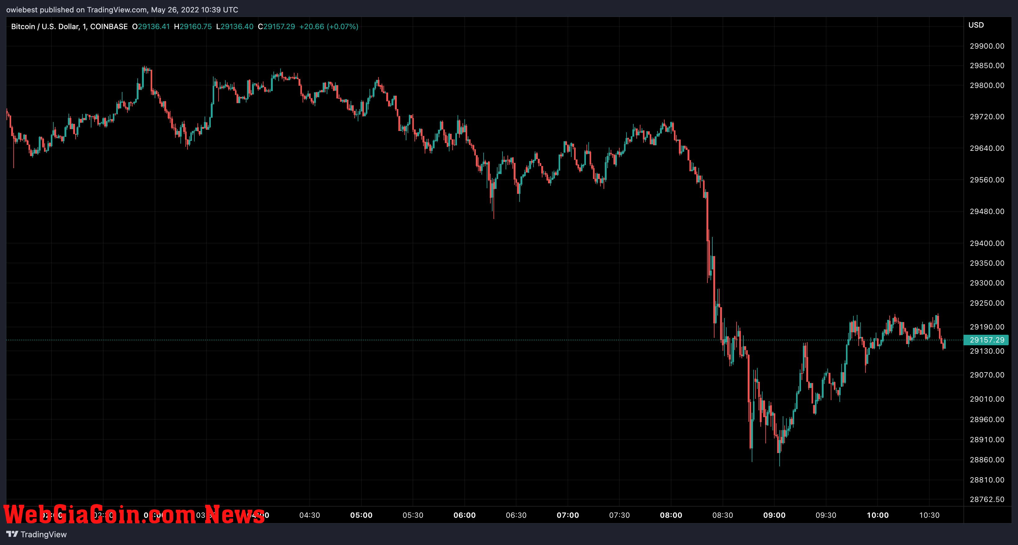 Bitcoin price chart from TradingView.com