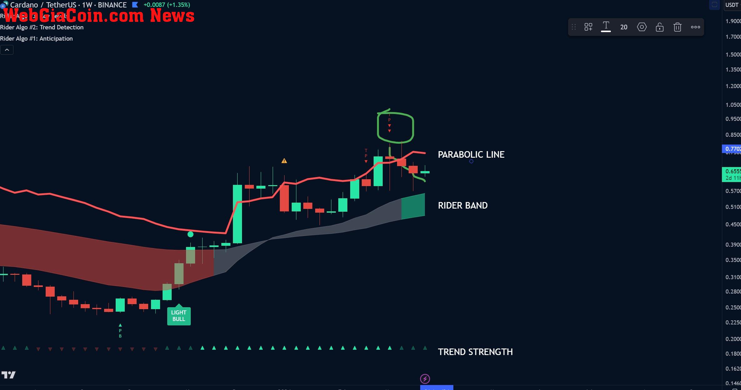 Cardano 