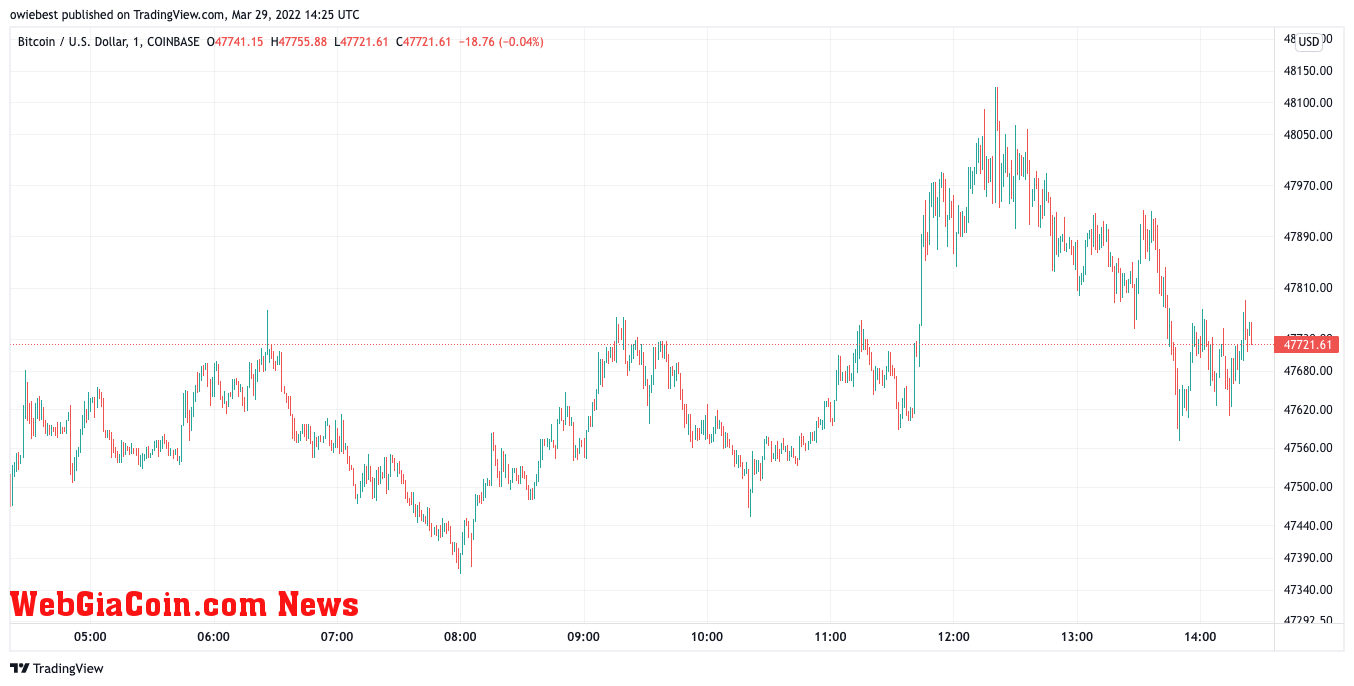 Bitcoin price chart from TradingView.com