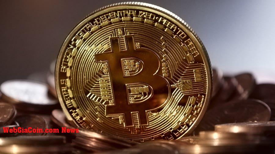 Giám đốc điều hành Bitwise dự đoán nguồn cung Bitcoin sẽ giảm 11 tỷ USD sau sự kiện Halving