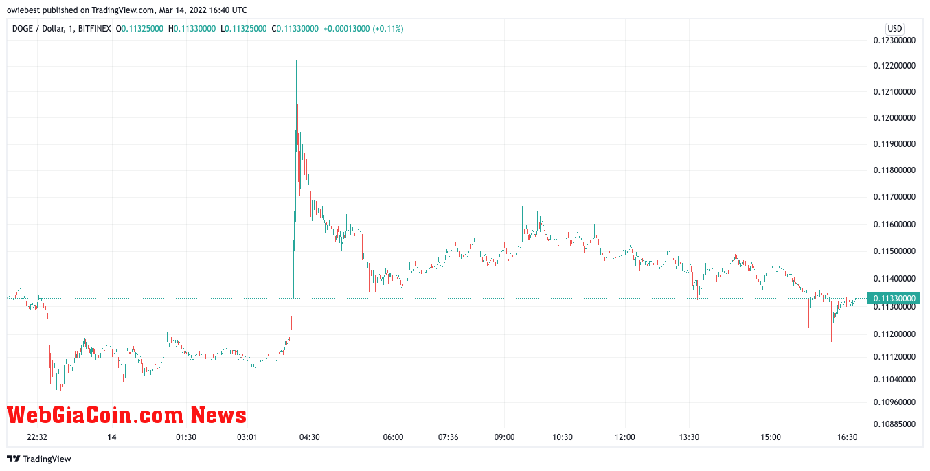 Dogecoin price chart from TradingView.com