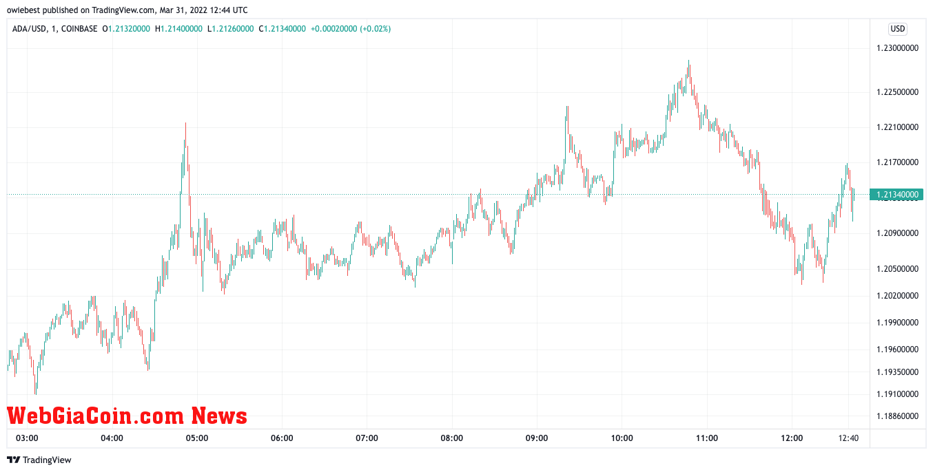 Cardano (ADA) price chart from TradingView.com