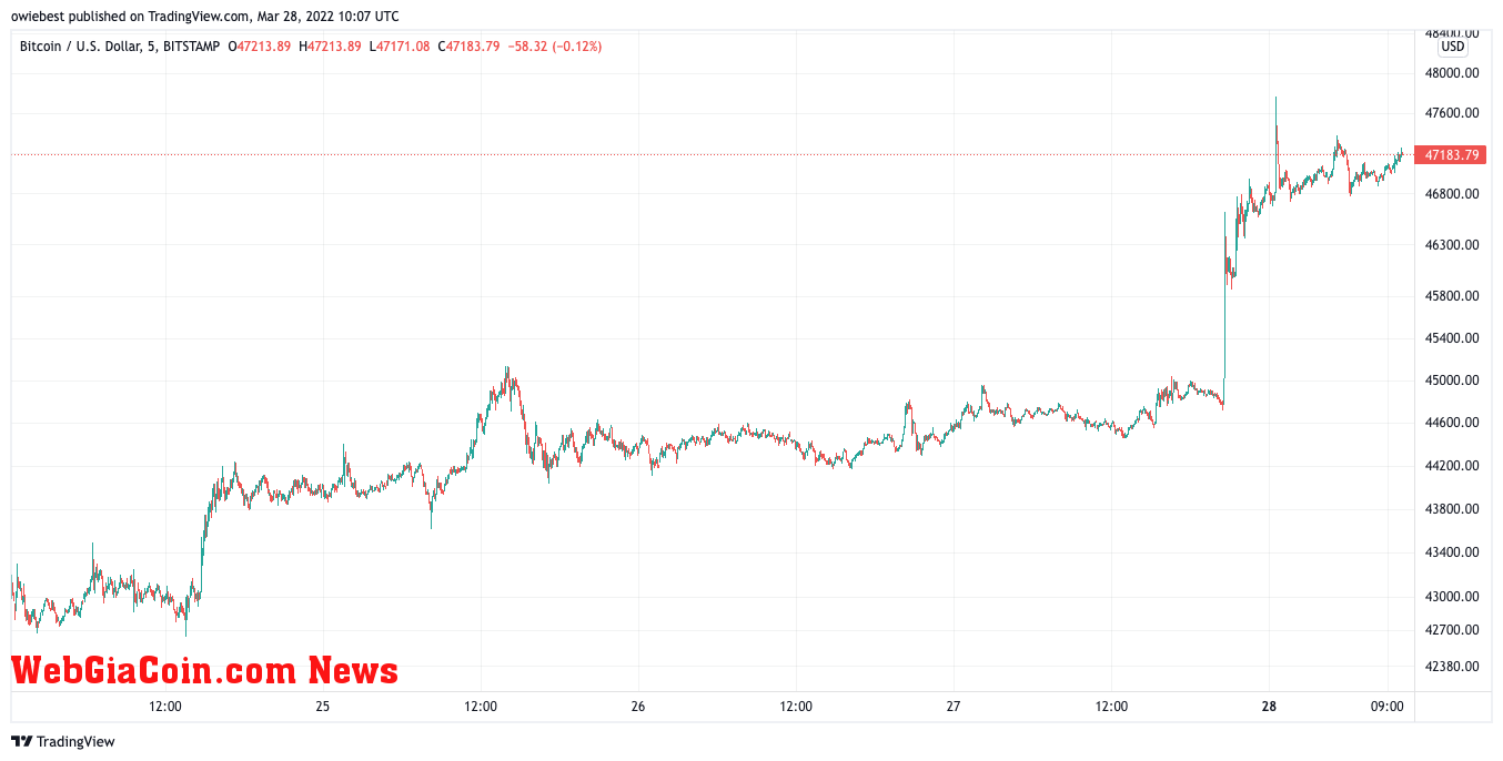 Bitcoin price chart from TradingView.com