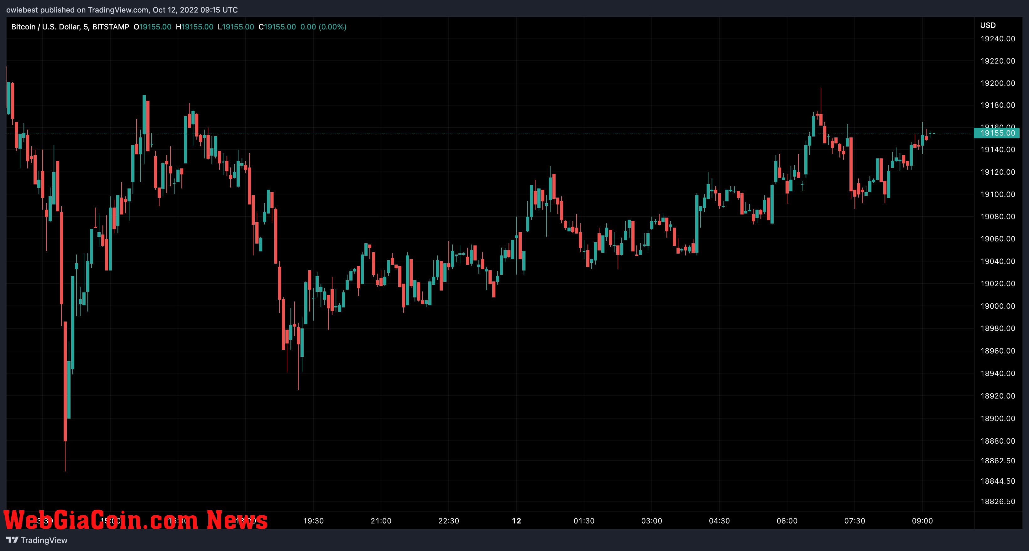 Bitcoin price chart from TradingView.com