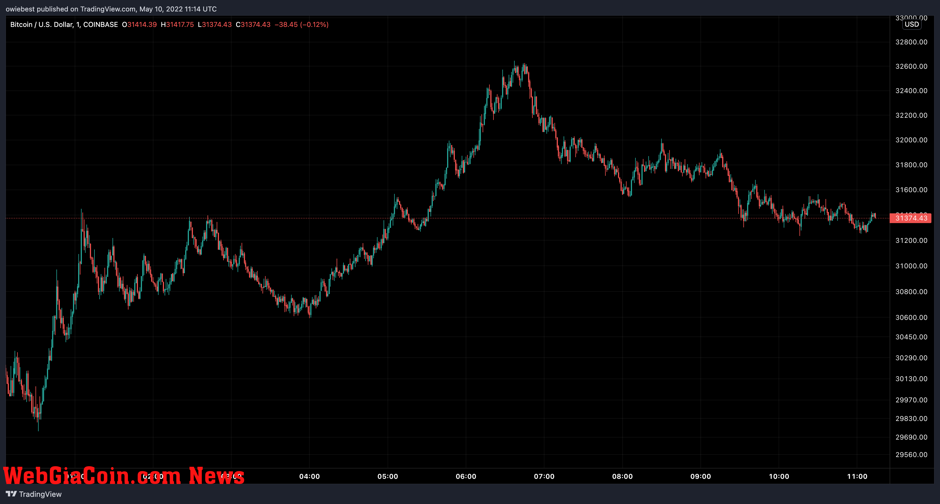 Bitcoin price chart from TradingView.com