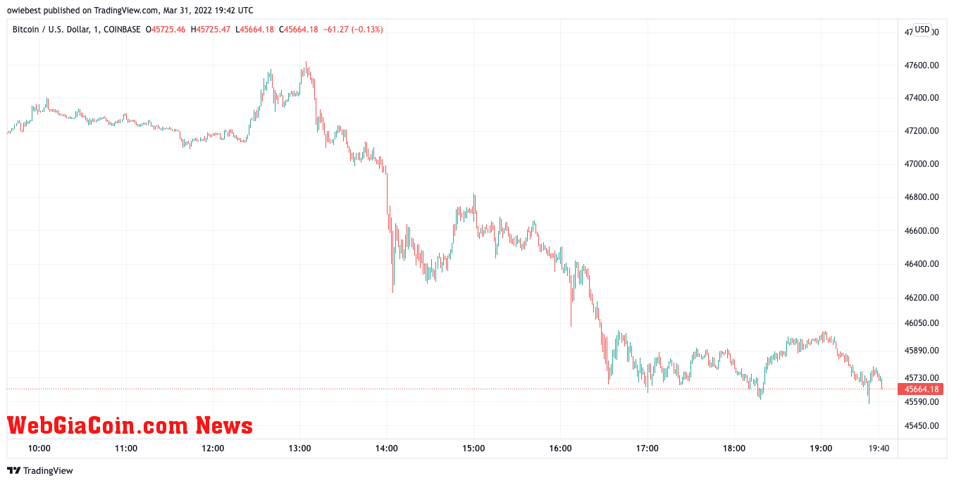 Bitcoin price chart from TradingView.com