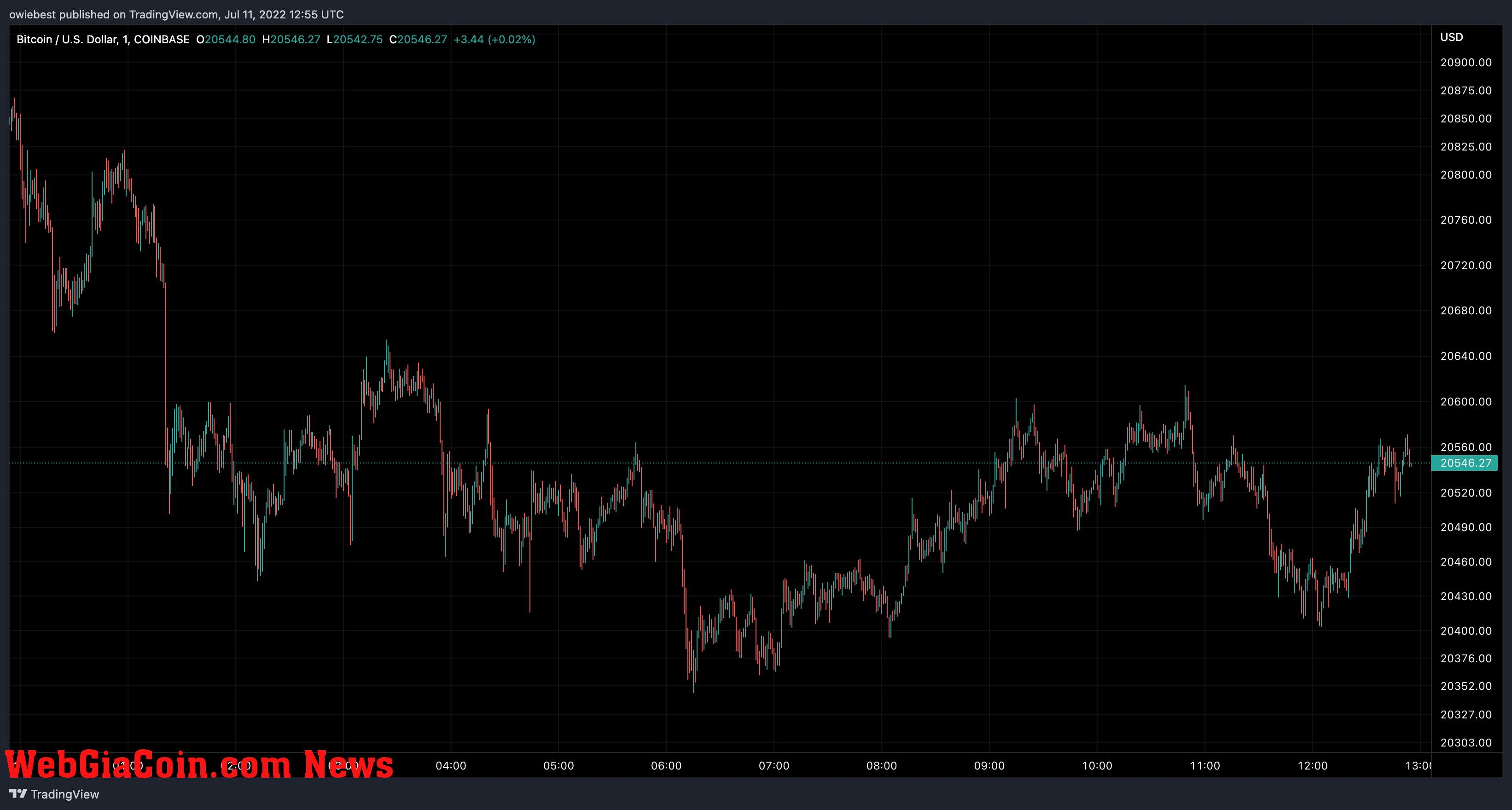 Bitcoin price chart from TradingView.com