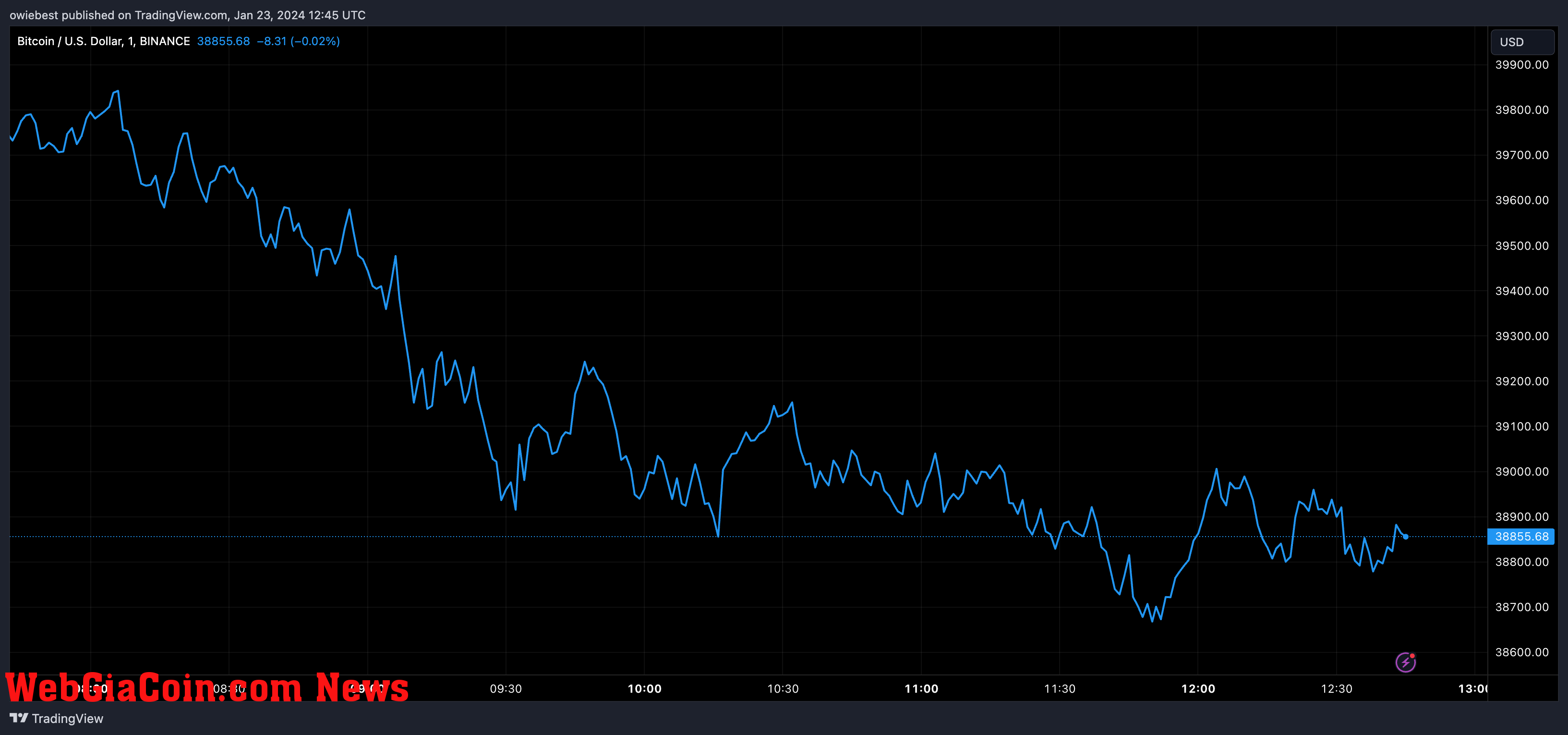 Bitcoin price chart from Tradingview.com