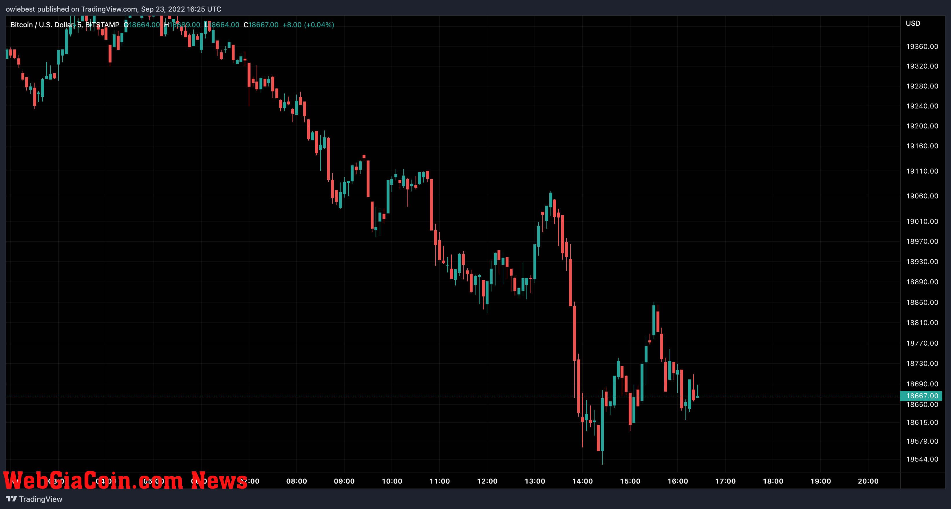 Bitcoin price chart from TradingView.com