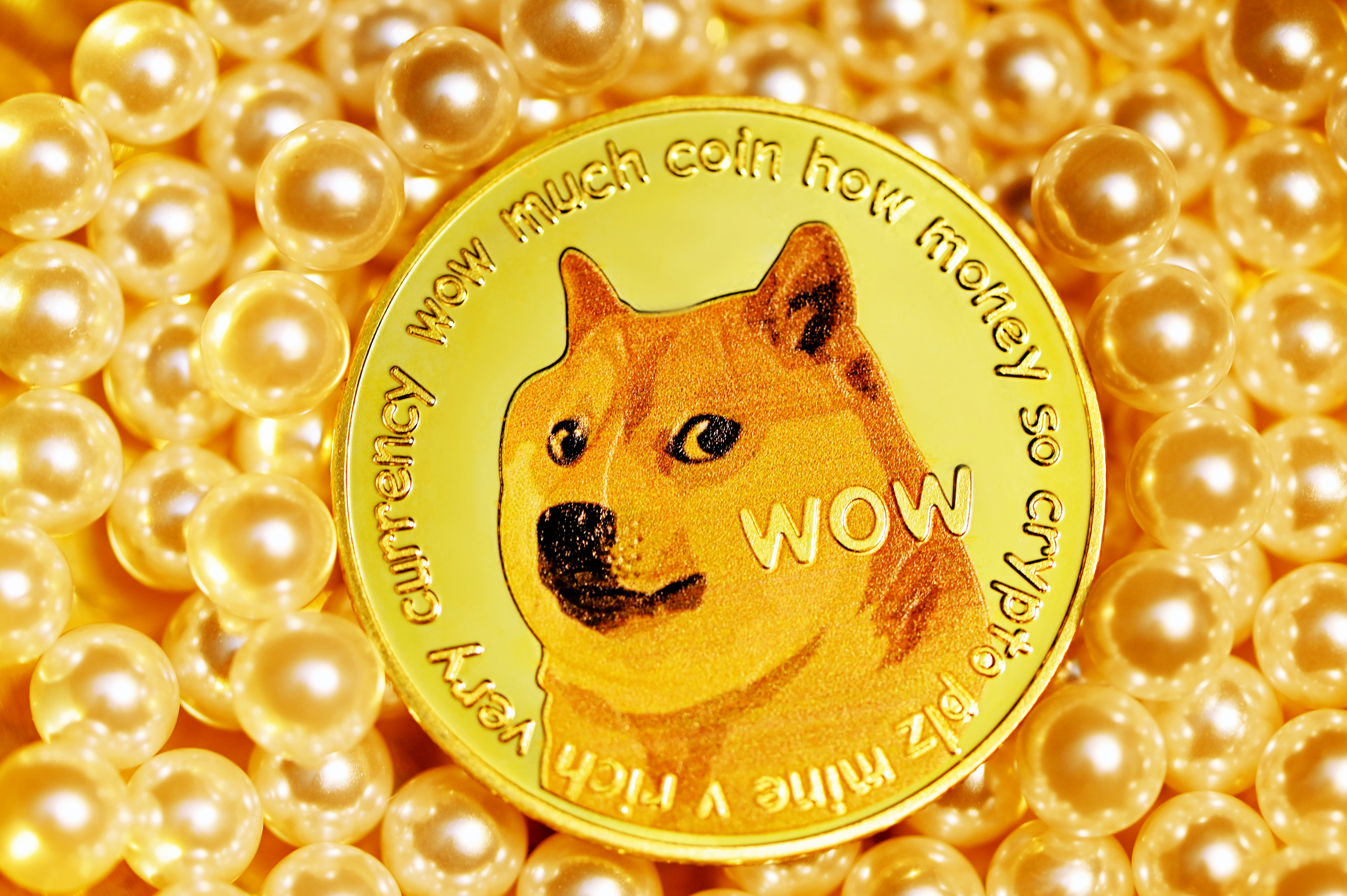 Nhà đầu tư không hiển thị Dogecoin FOMO, dấu hiệu tốt tăng giá?