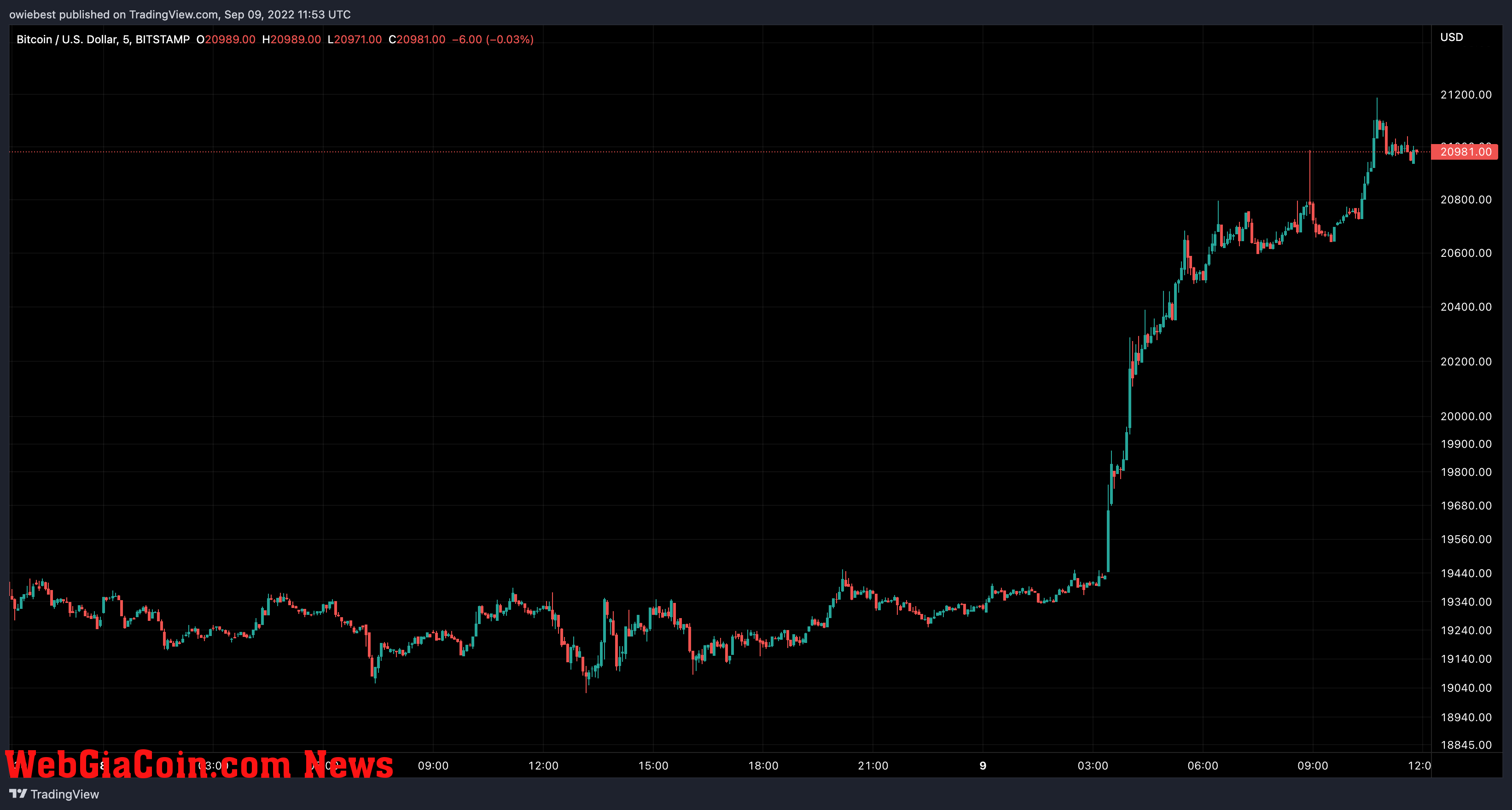 Bitcoin price chart from TradingView.com