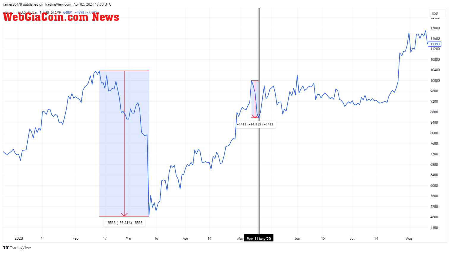BTCUSD: 2020 Halving: (Source: Trading View)
