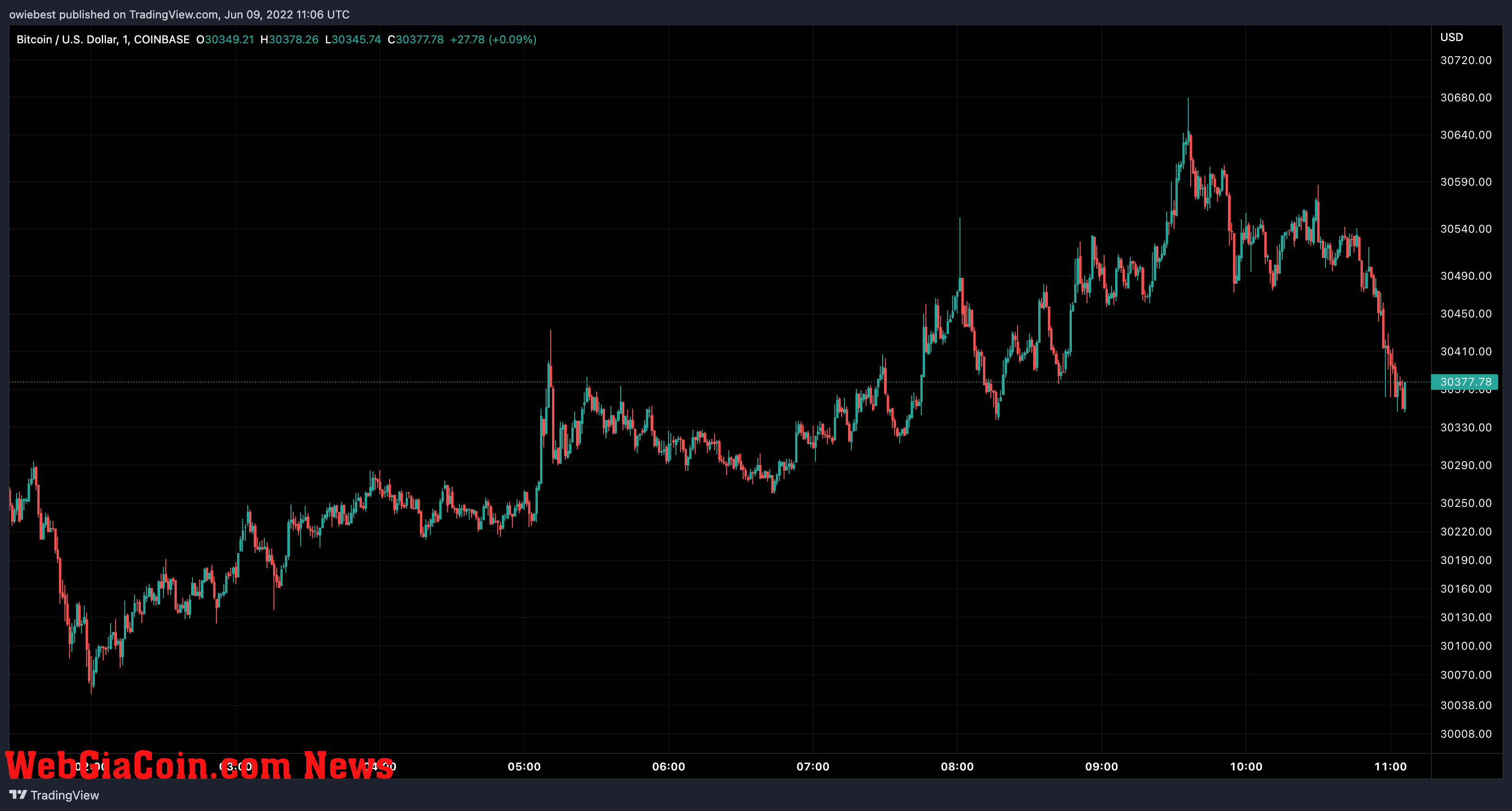 Bitcoin price chart from TradingView.com