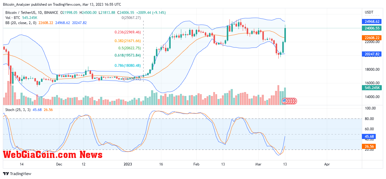 Bitcoin Price On March 13| Source: BTCUSDT On Binance, TradingView