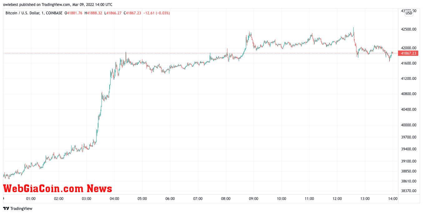 Bitcoin price chart from TradingView.com