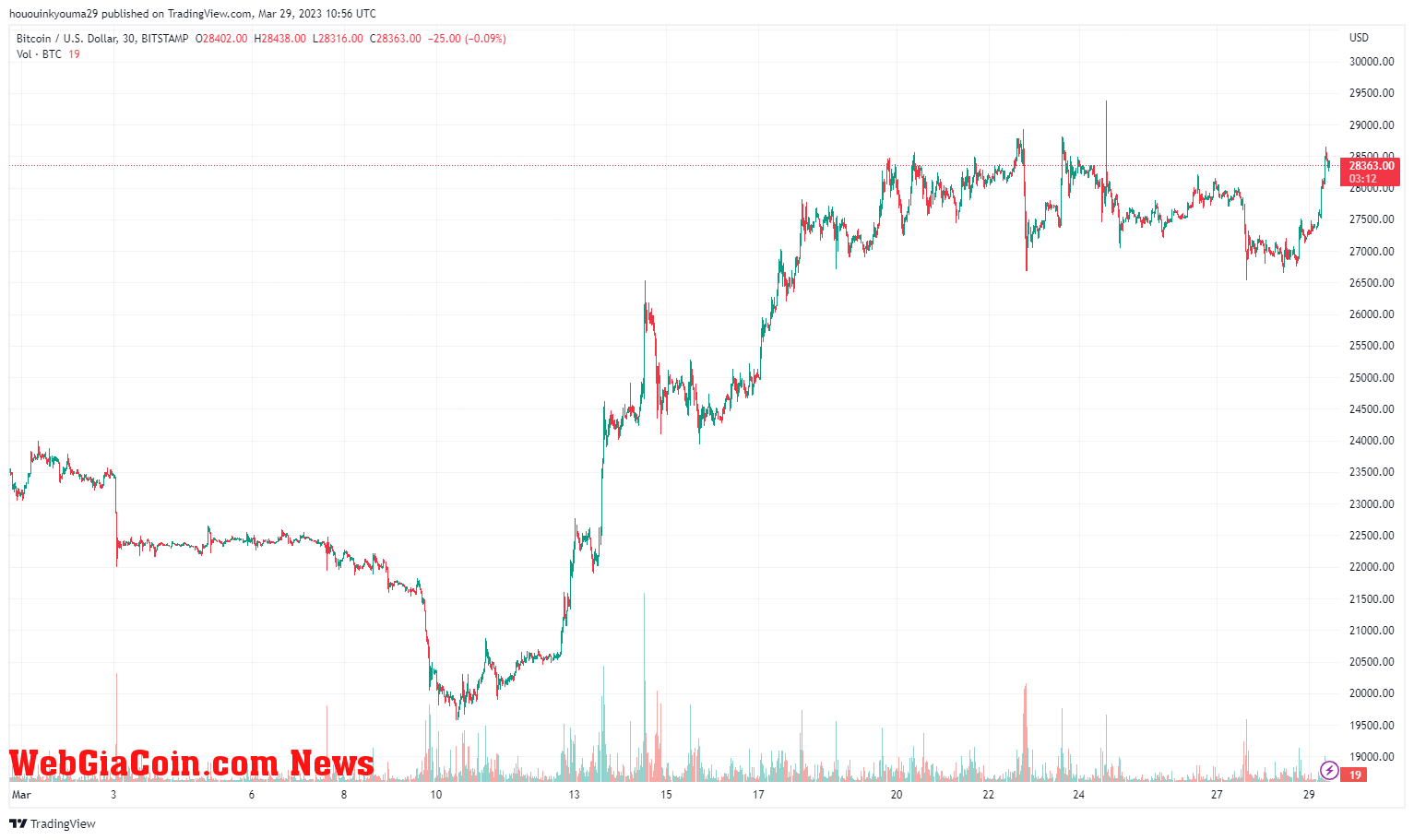 Bitcoin Price Chart