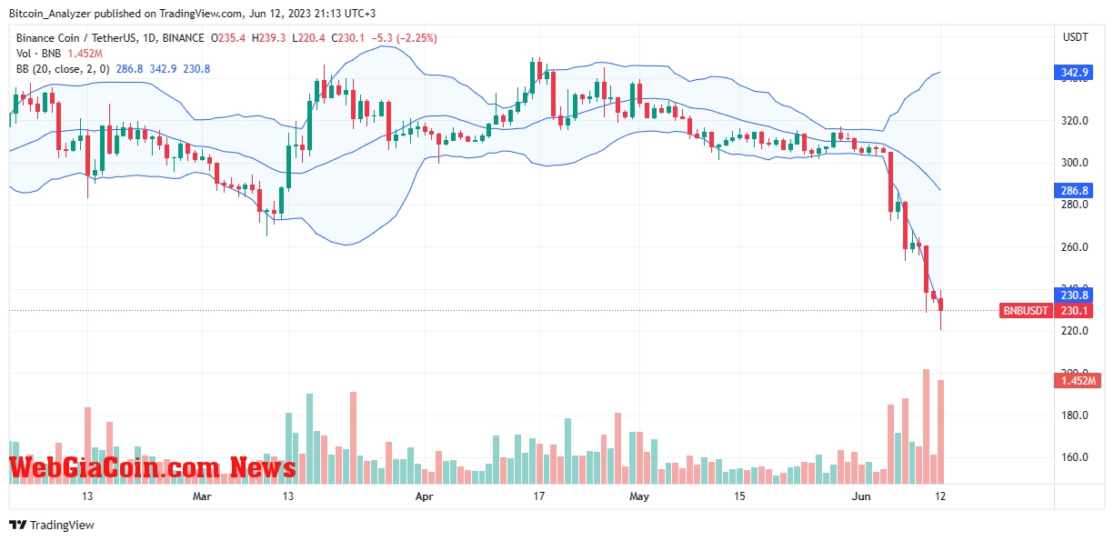 BNB Price On June 12| Source: BNBUSDT On Binance, TradingView