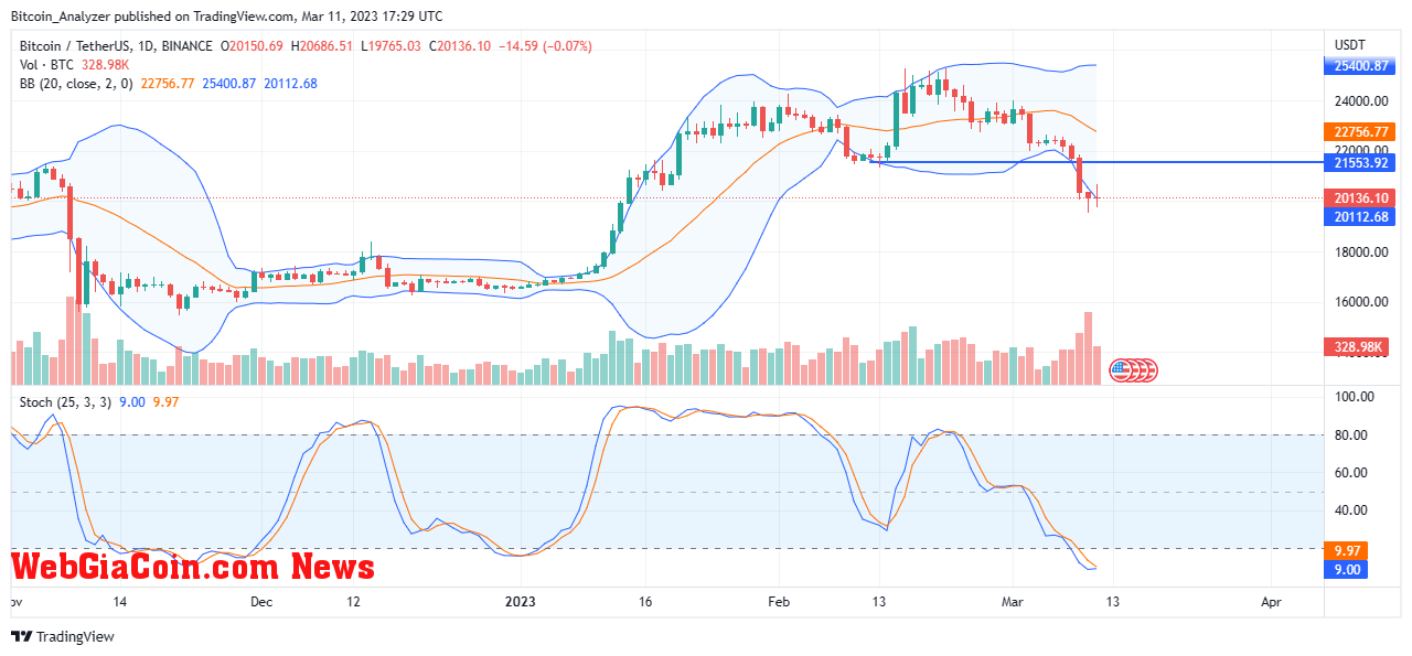 Bitcoin Price On March 11| Source: BTCUSDT On Binance, TradingView