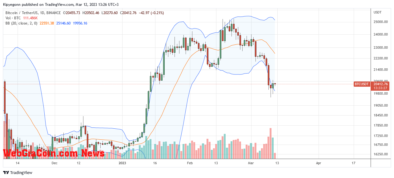 Bitcoin Price On March 12| Source: BTCUSDT On Binance, TradingView